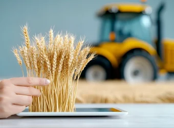 ТОП аграрных высших учебных заведений Украины